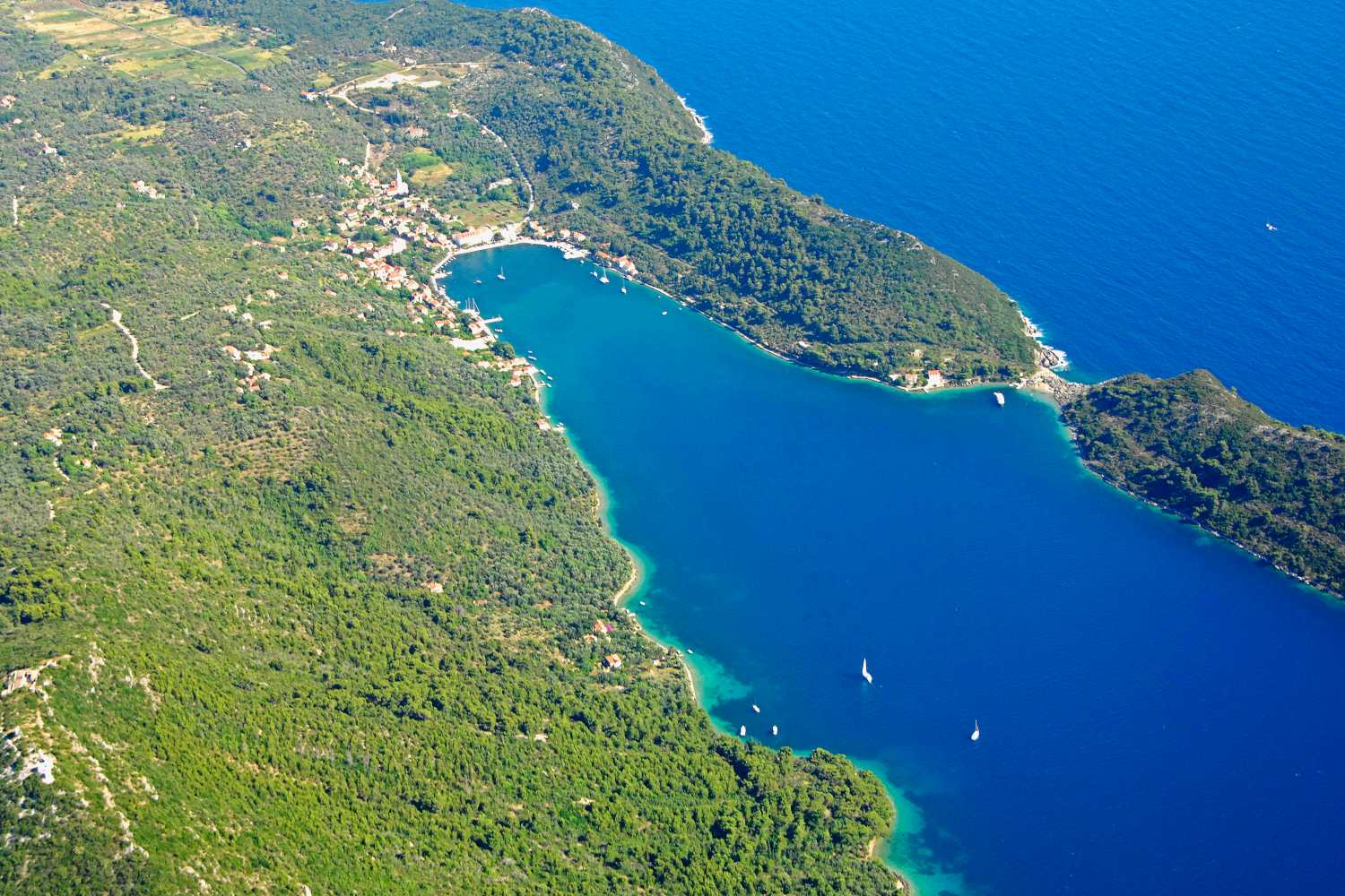 šipan island largest of elaphiti